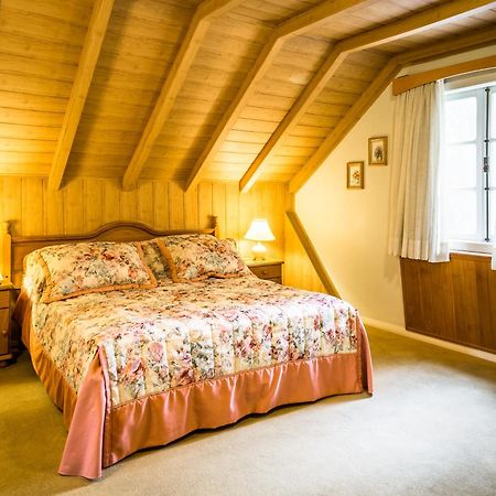 Hotel Stelter Sao Bento do Sul Ngoại thất bức ảnh